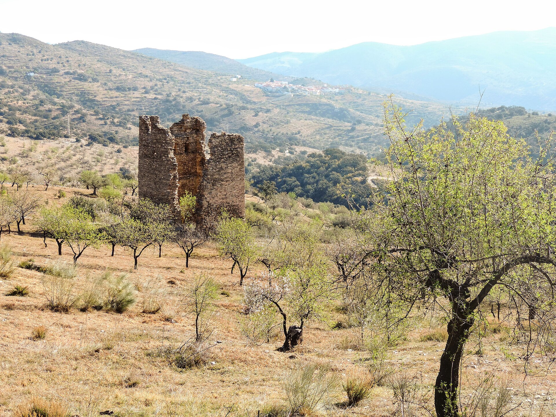 Vista de Alhabia