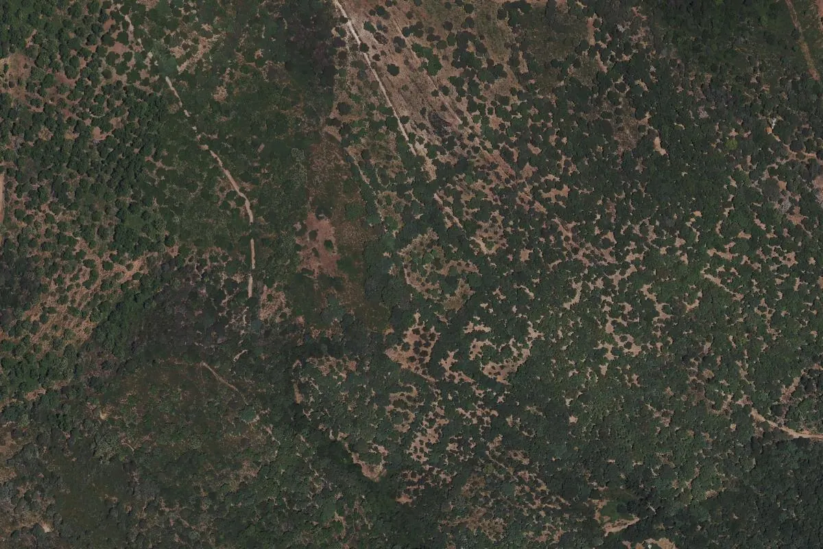 Vista de El Quejigo