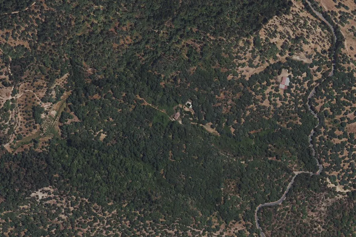 Vista de Las Cañadas