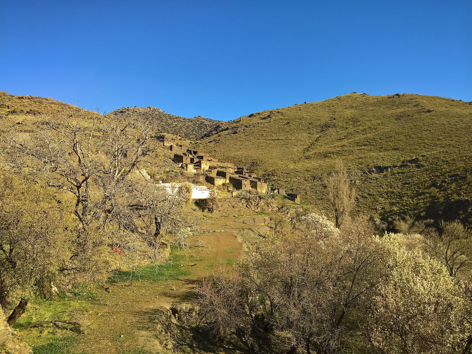 Vista de Los Rojas