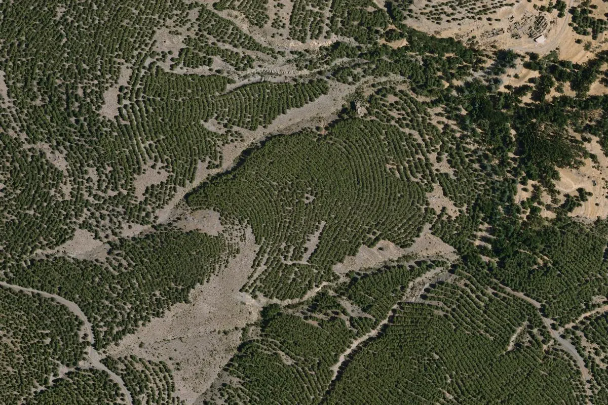 Vista de Tablas