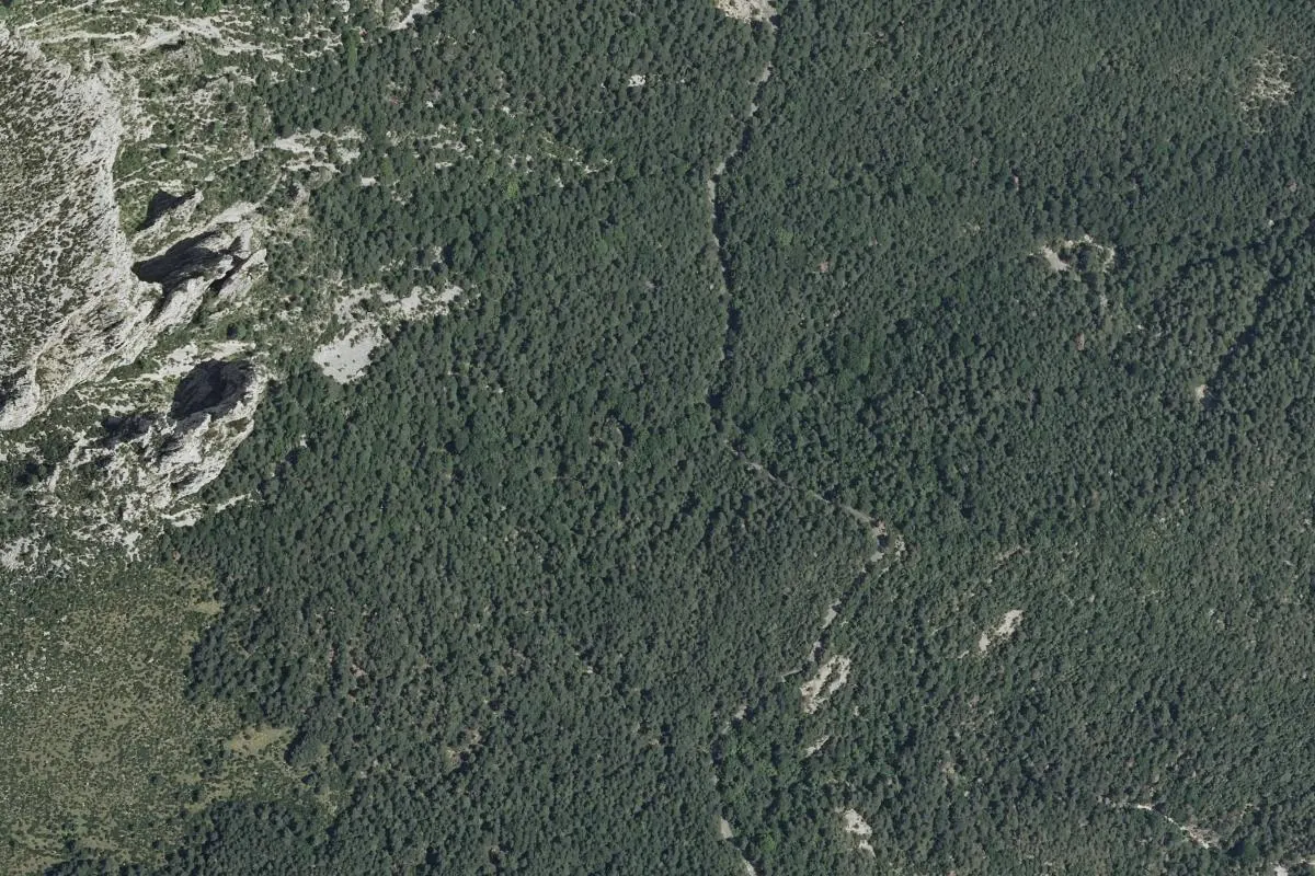 Vista de Biés
