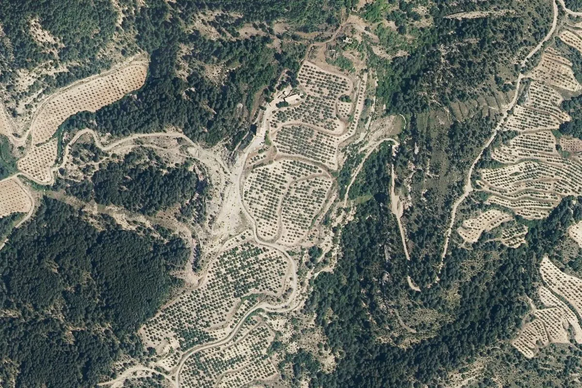 Vista de Cañardo