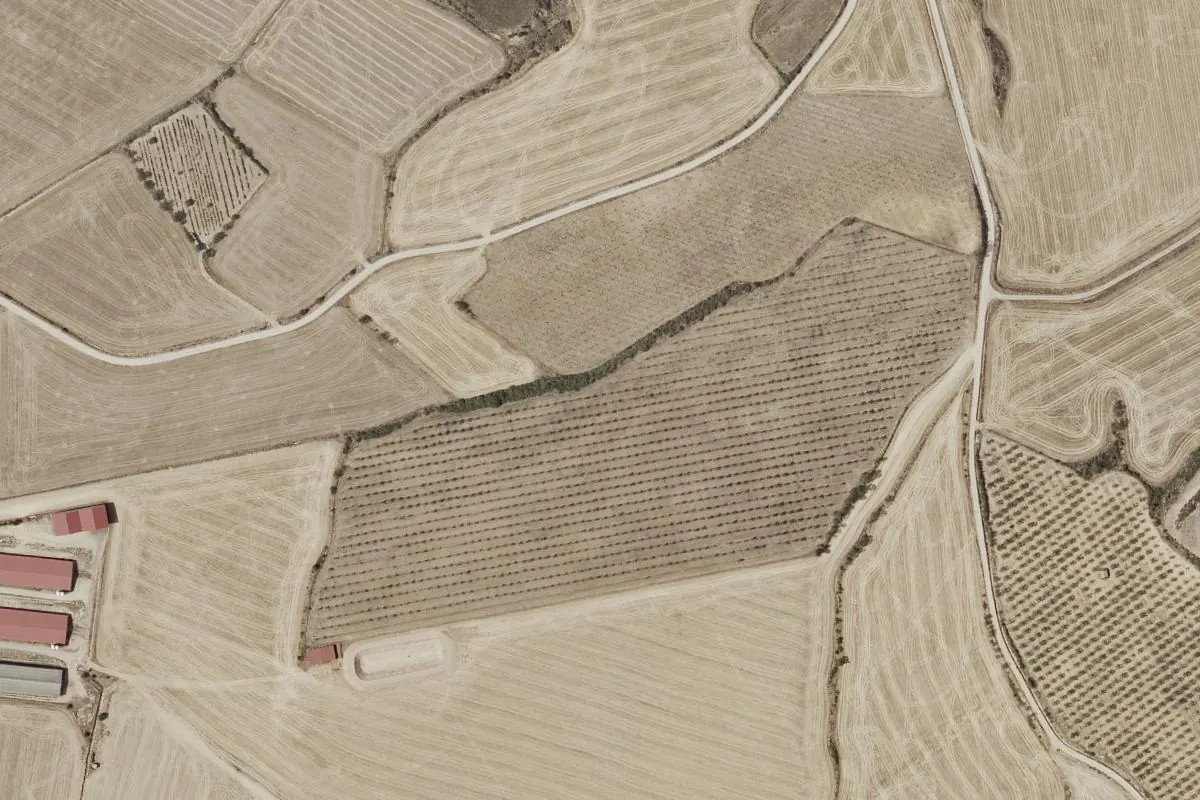 Vista de Liso