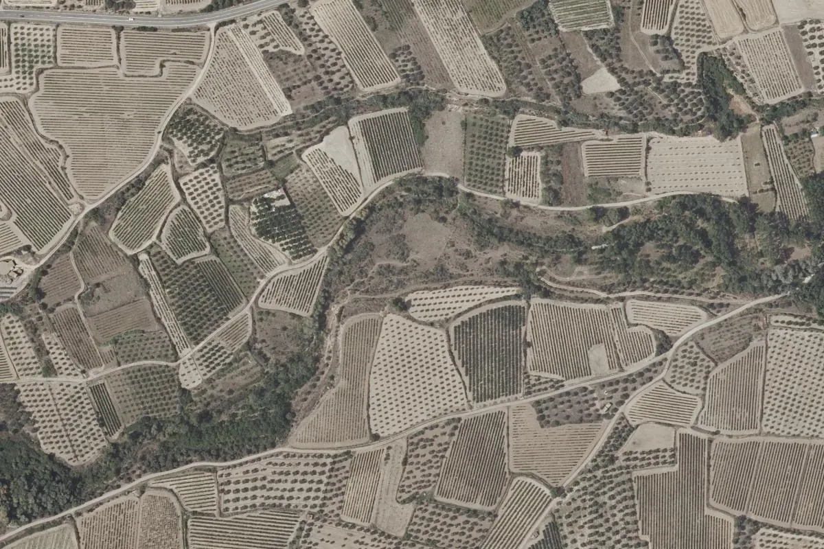 Vista de Rivas (Borja)