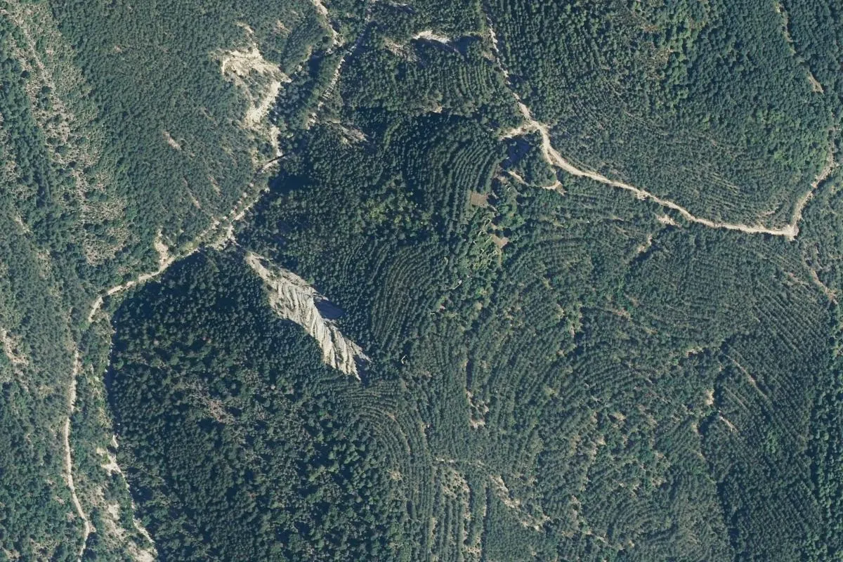 Vista de Tricas