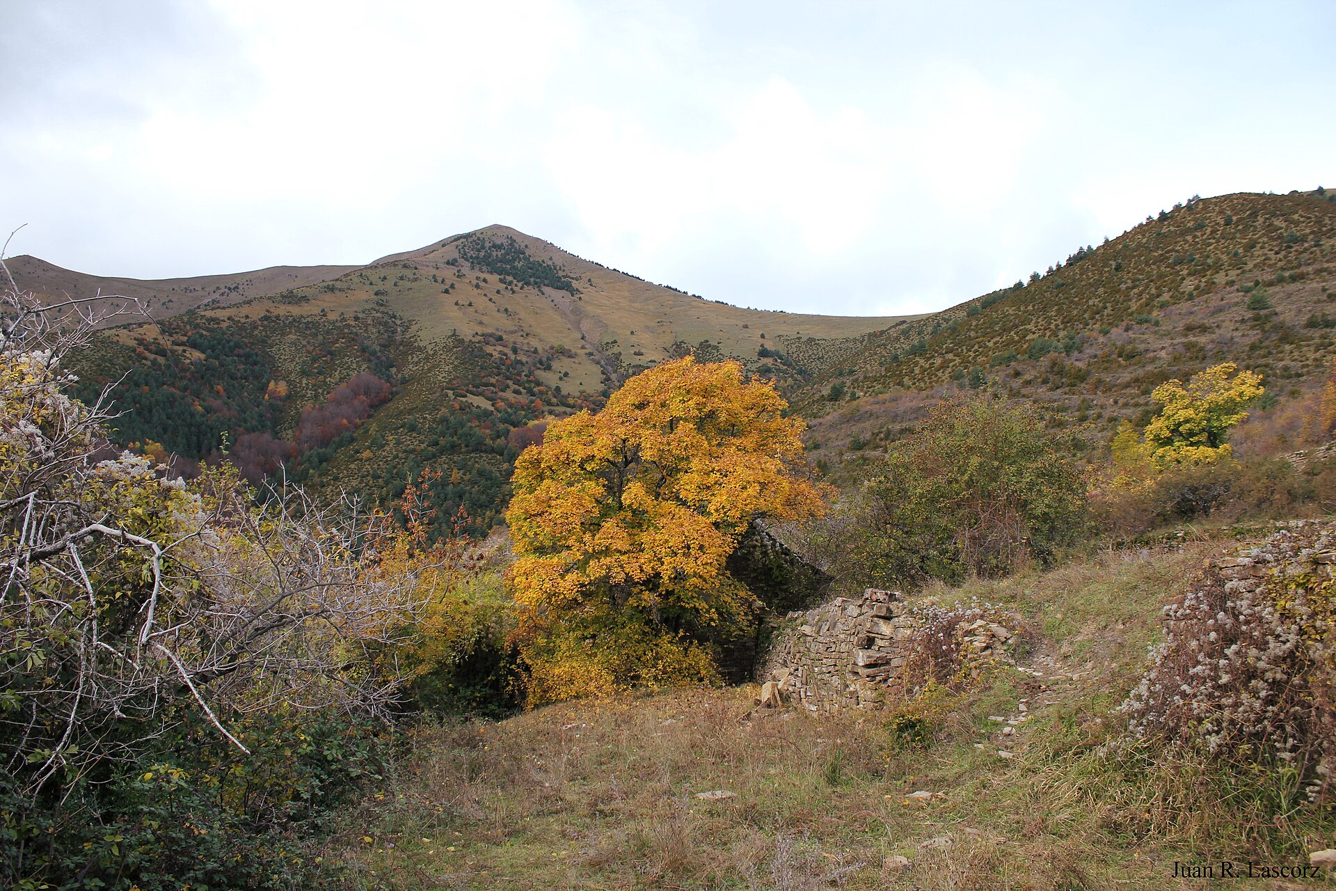 Vista de Yosa