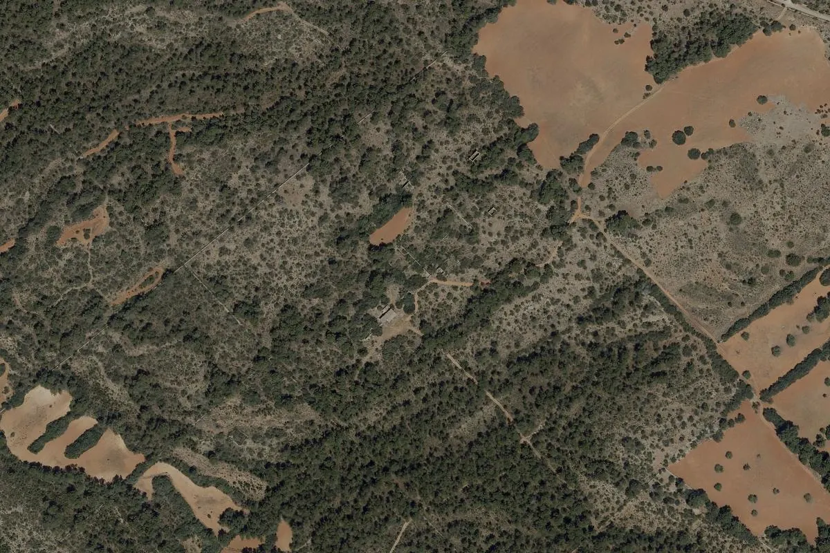 Vista de Colònia de Son Mendívil