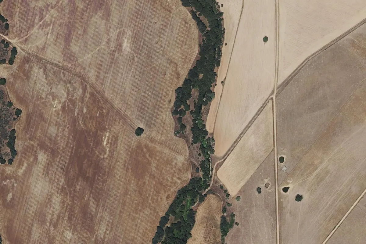 Vista de Gavilán