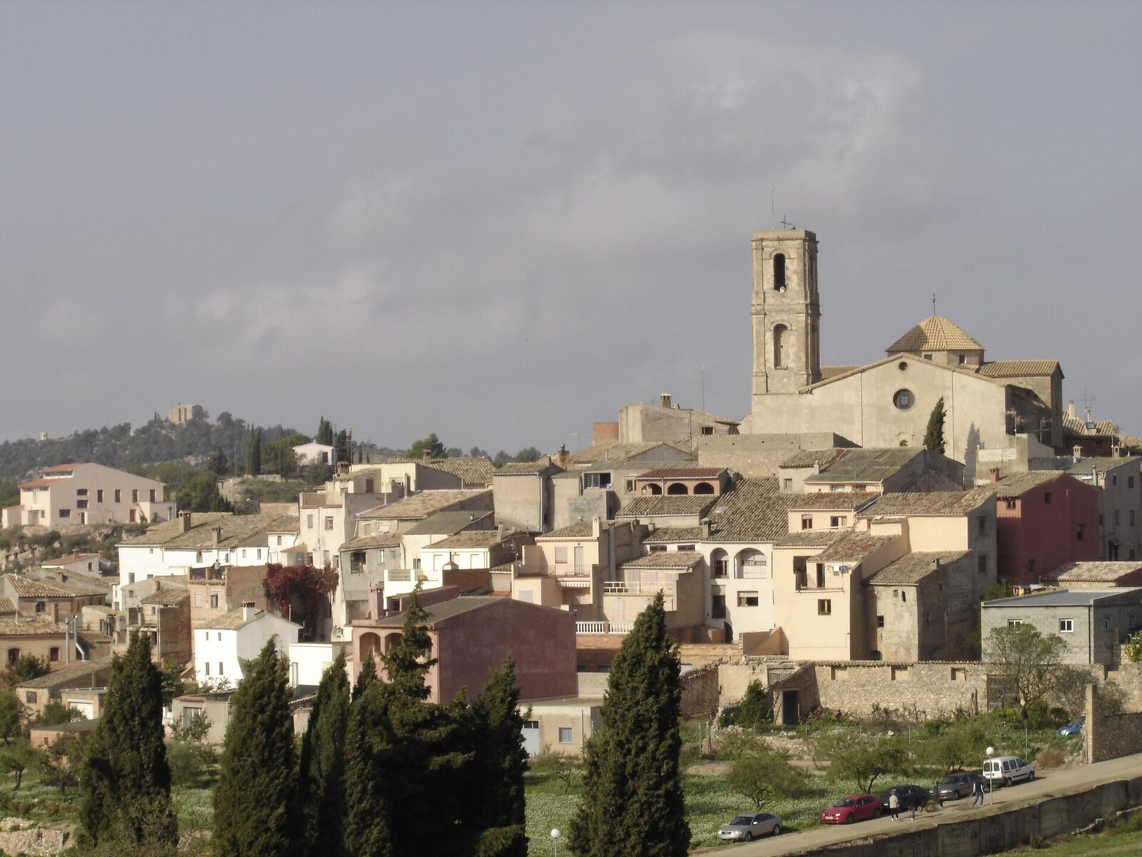 Vista de La Figuera