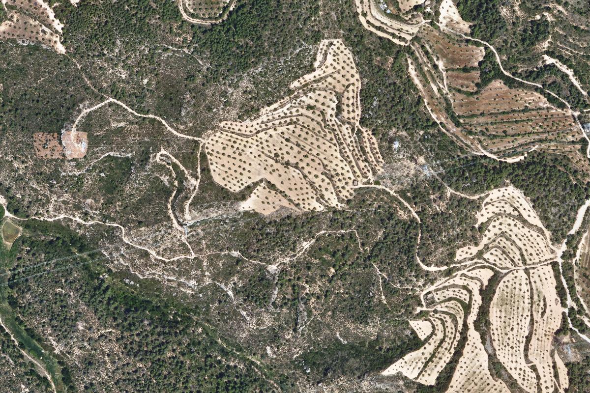 Vista de la Vileta