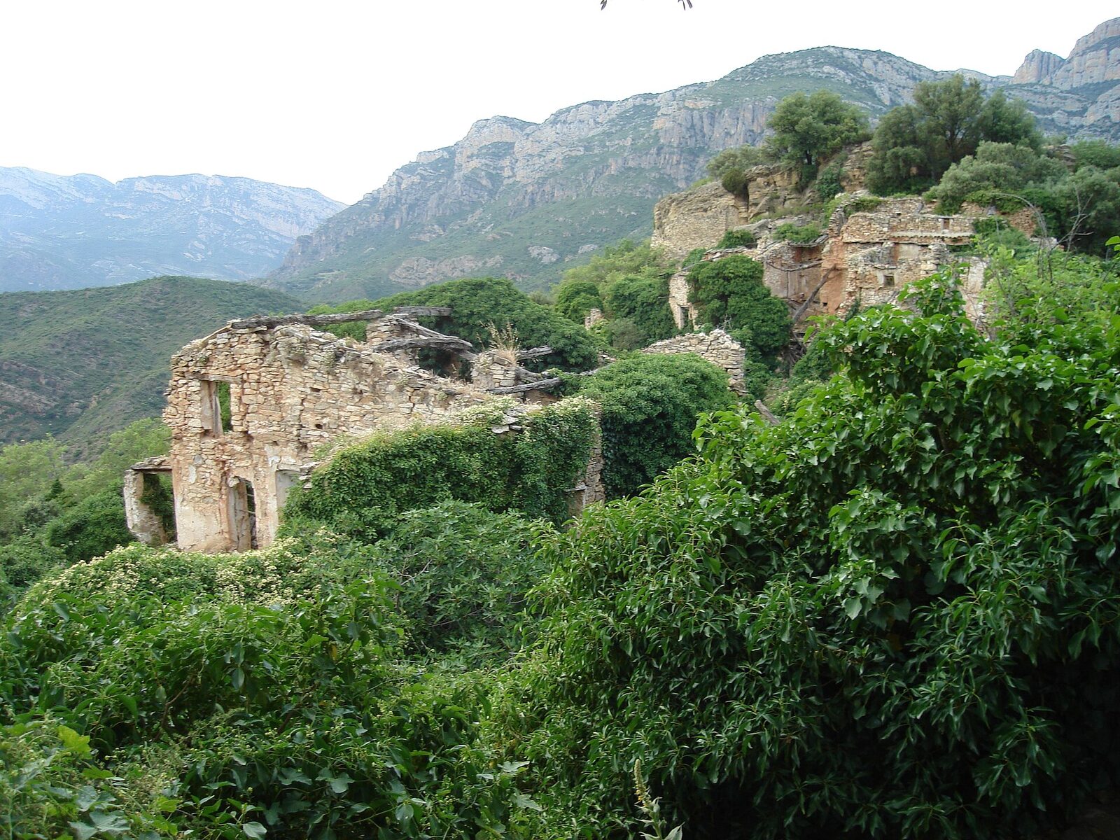 Vista de Perauba