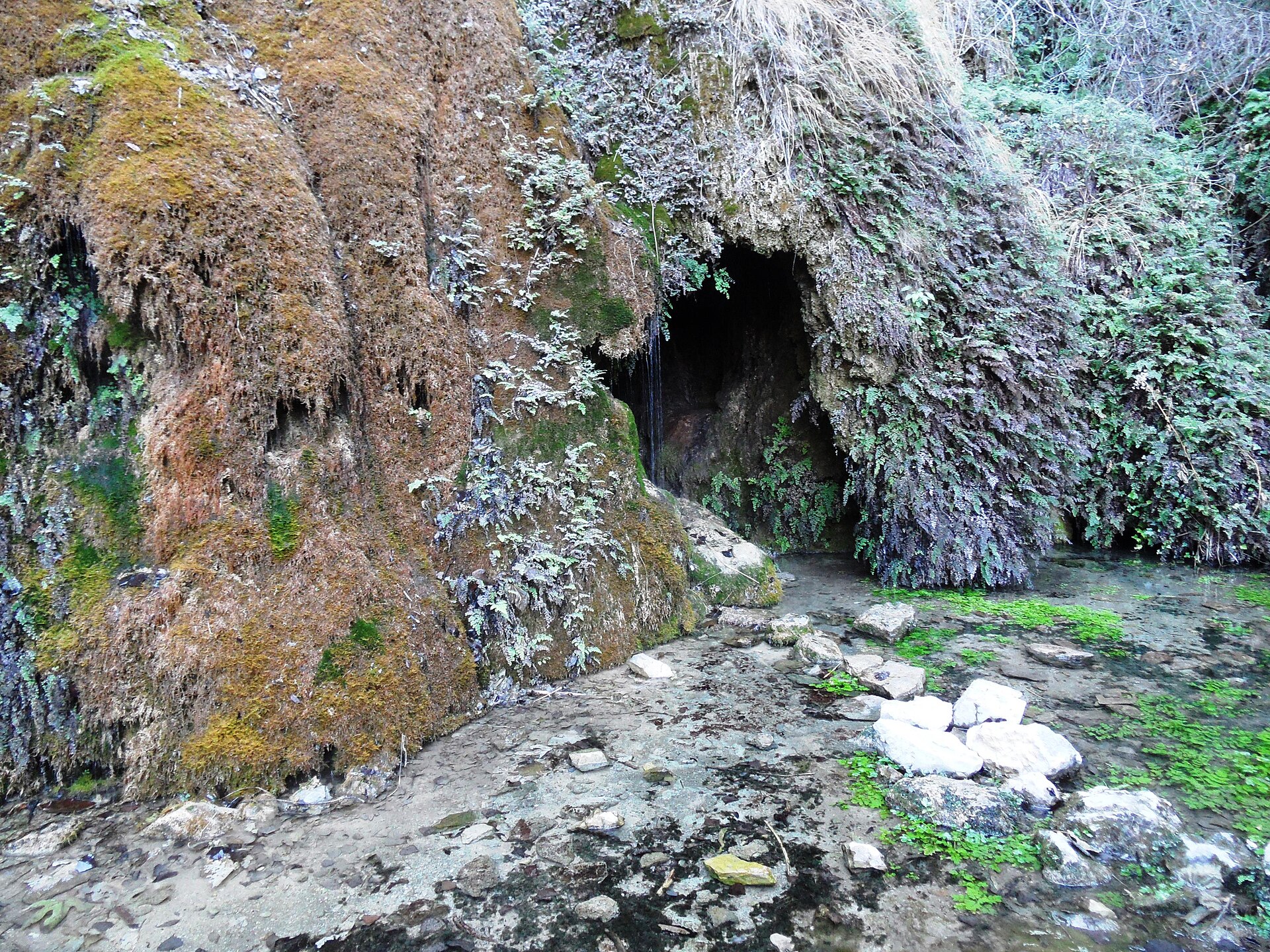 Vista de Barchel