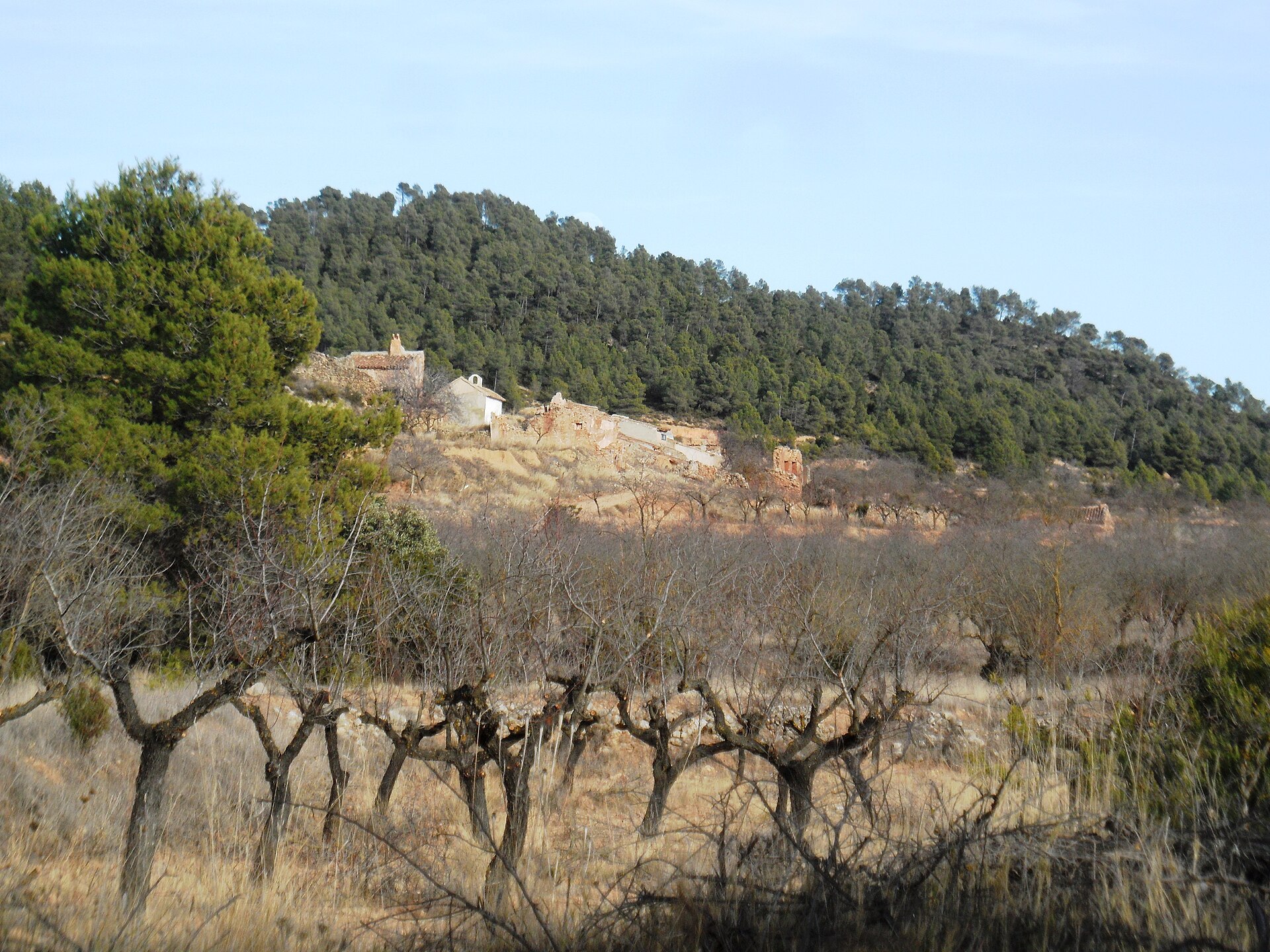 Vista de Bercuta
