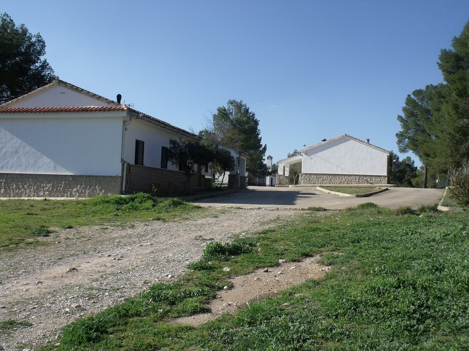 Vista de Tamayo