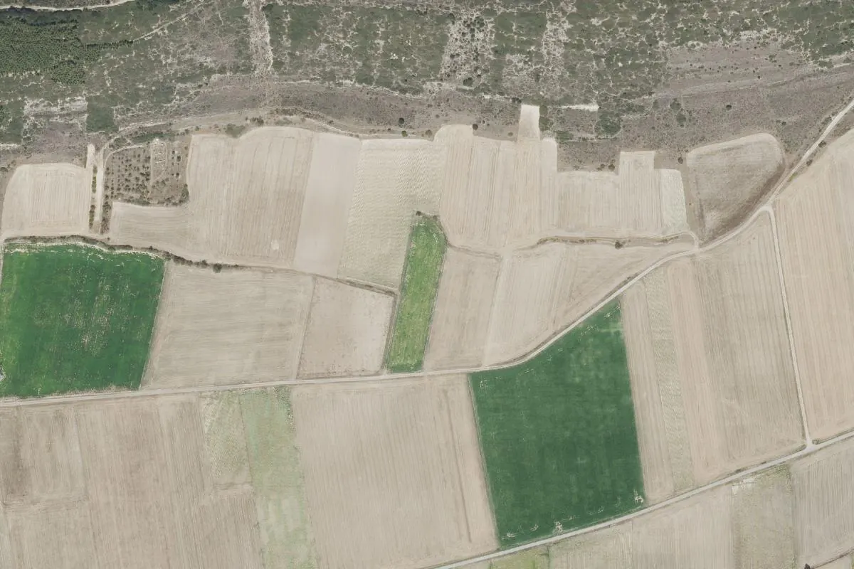 Vista de La Torre