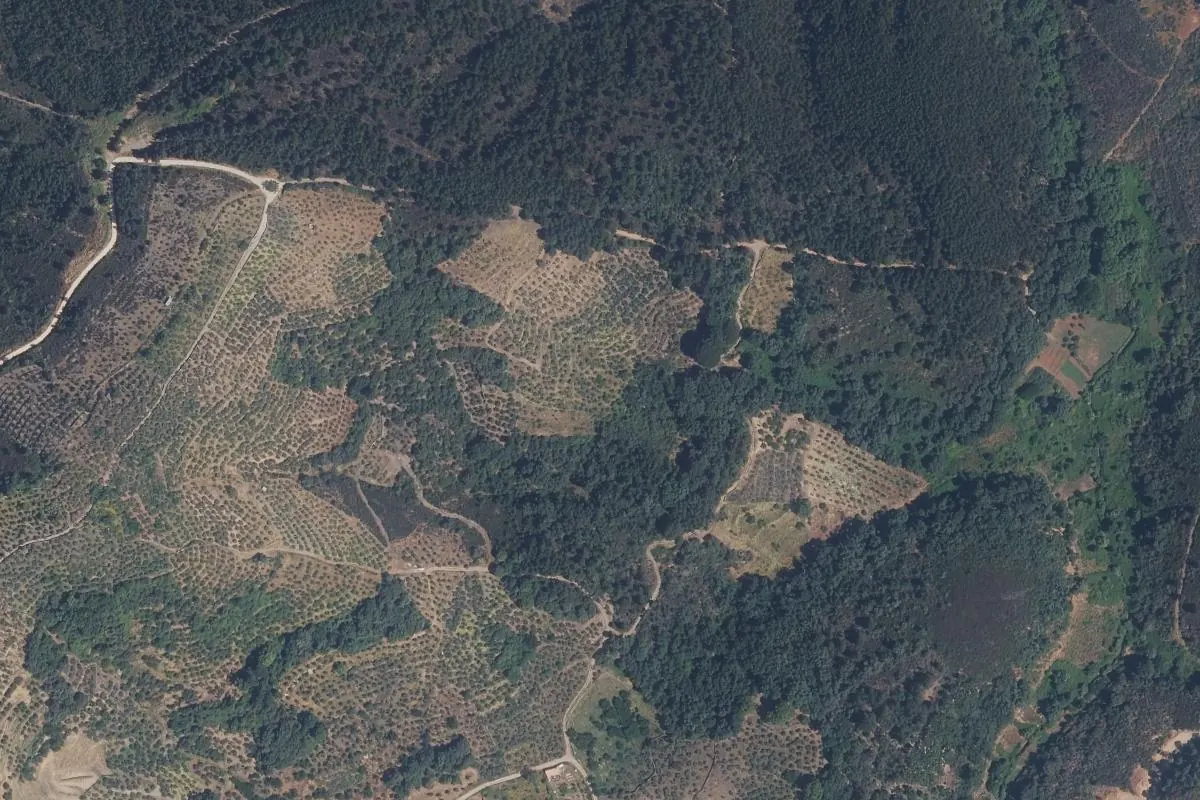 Vista de Arrocerezo