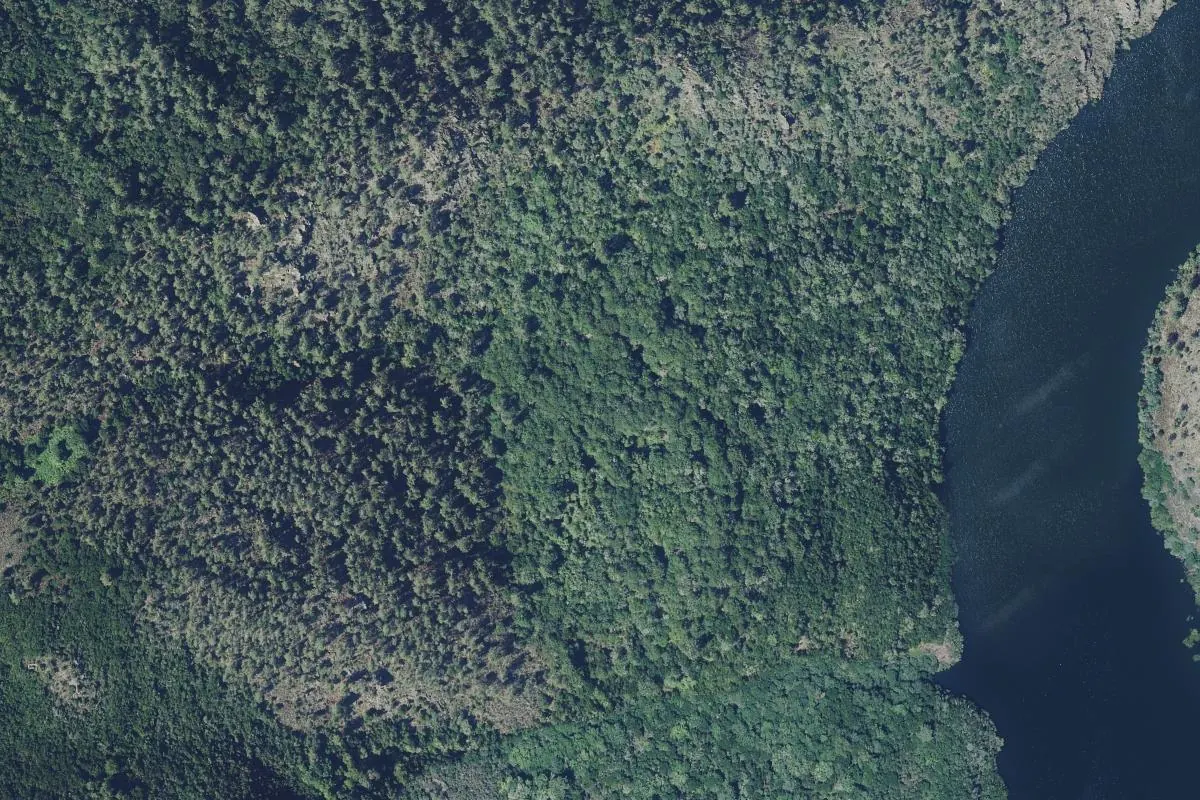 Vista de Froxende