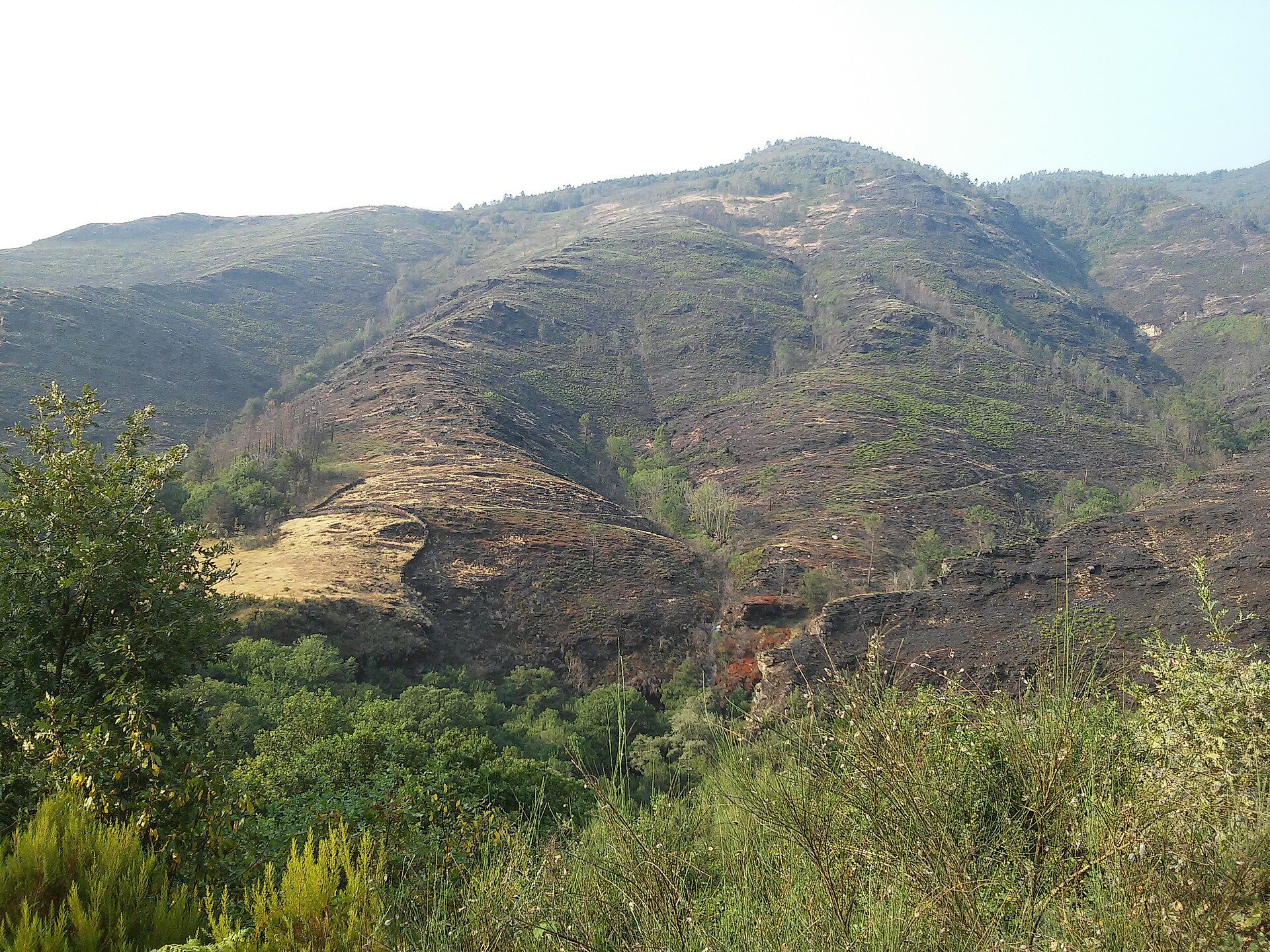 Vista de Lousadela