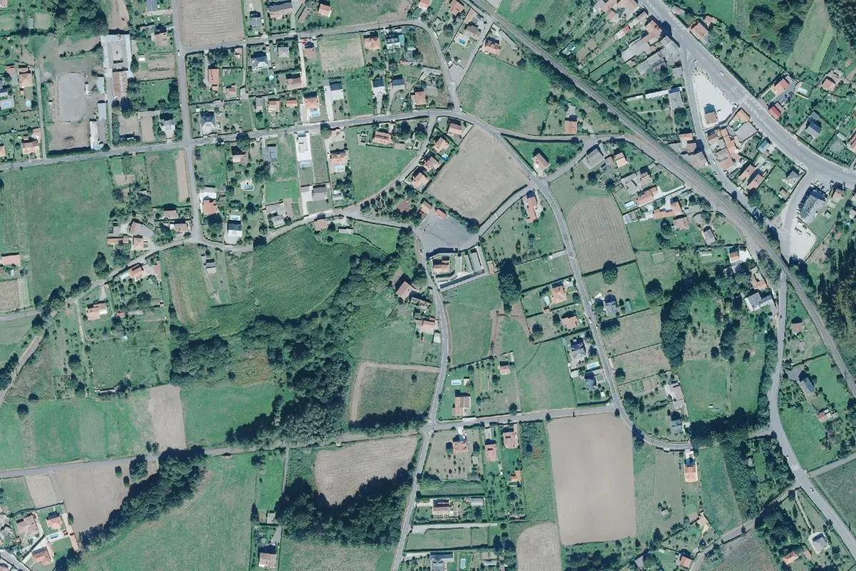 Vista de O Bosque