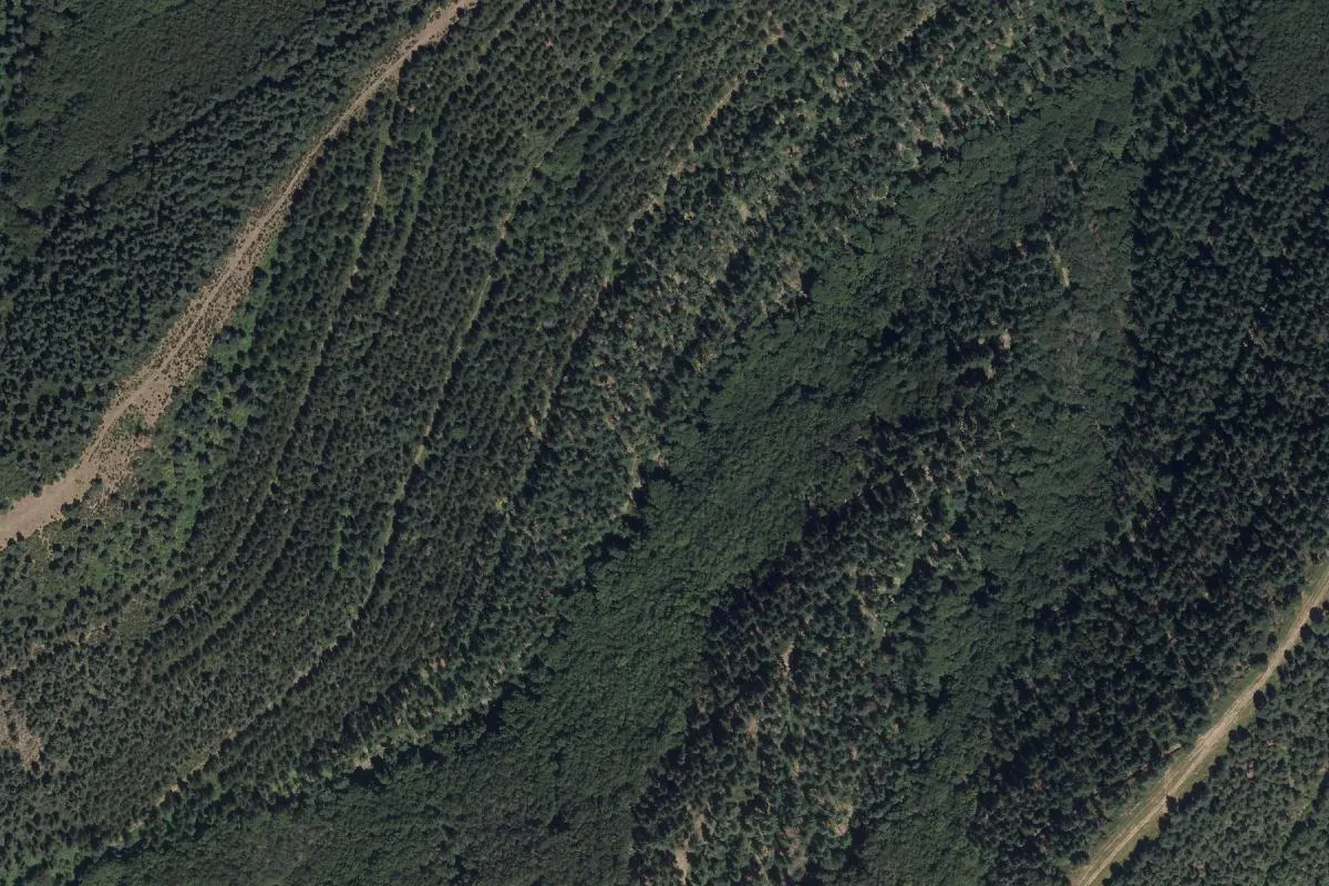Vista de Escarza