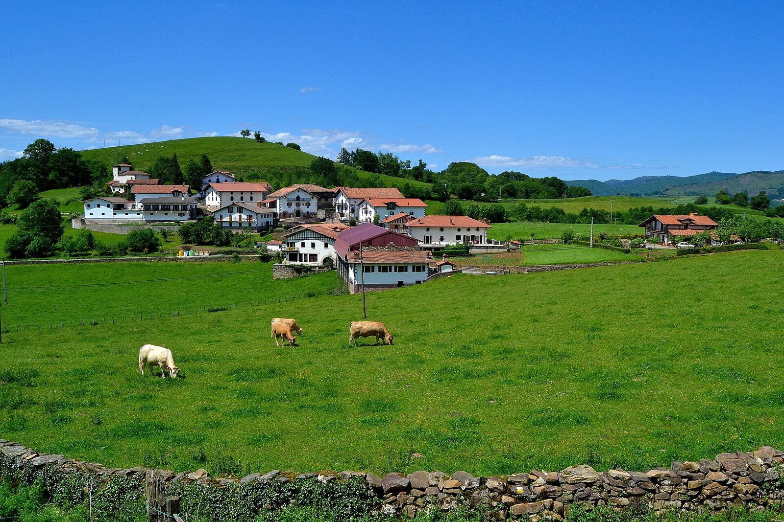 Vista de Aniz