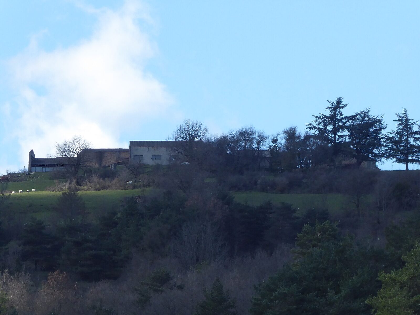 Vista de Zaldaiz